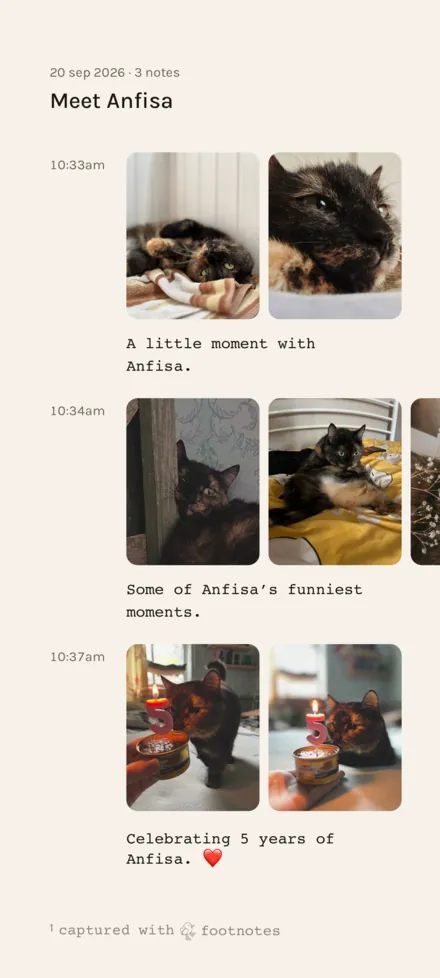 A shared note called Meet Anfisa: a tortoiseshell cat, ending with a candle to mark five years.